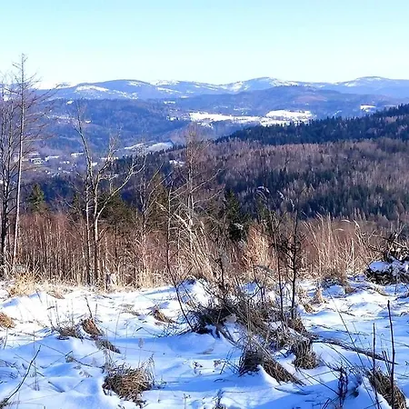 Na Lesnej 아파트 비스와