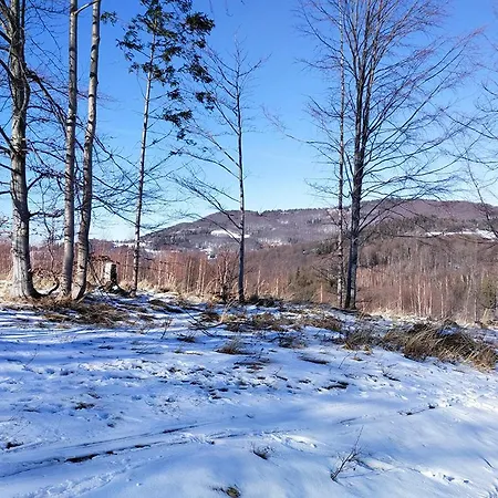 아파트 Na Lesnej 비스와