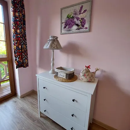 Na Lesnej 아파트 비스와