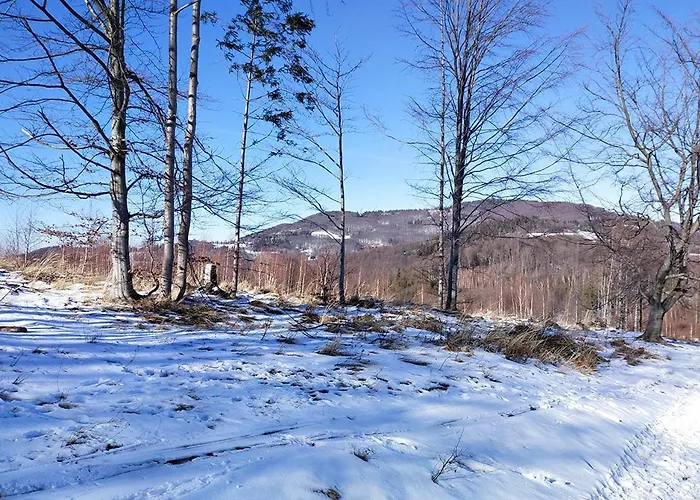 דירה Na Lesnej ויסלאו